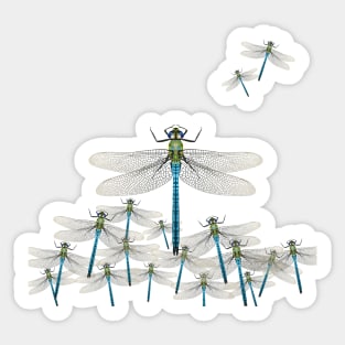 Dragonflies assemble! Sticker